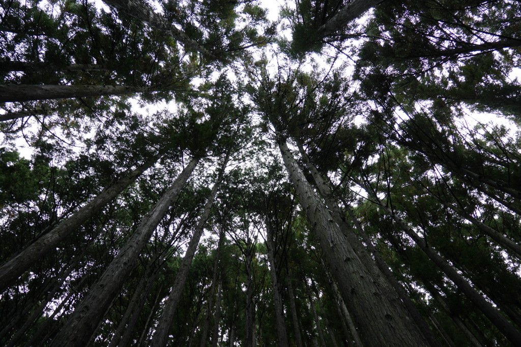 奈良県天川村