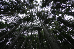 奈良県天川村