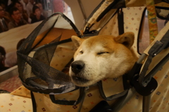 帰路フェリー