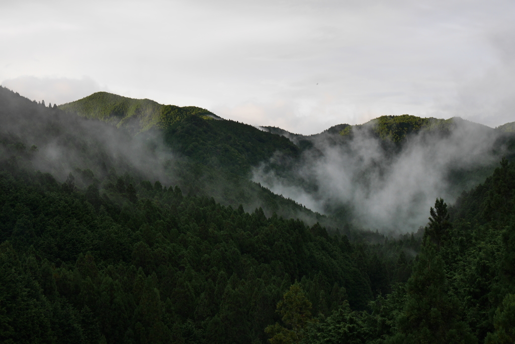 天川村