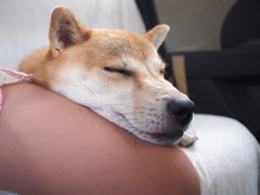 足を枕