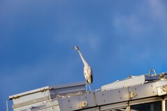 休憩からの対空警戒モード