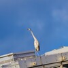 休憩からの対空警戒モード