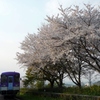 桜と北条鉄道