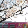 桜と北条鉄道