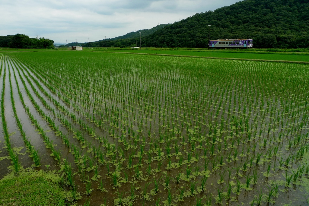 梅雨空