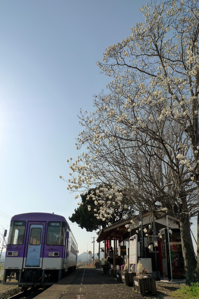 木蓮の駅