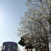 木蓮の駅