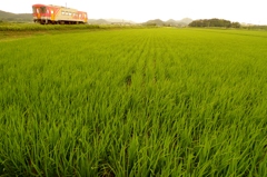 夕方