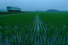 雨音