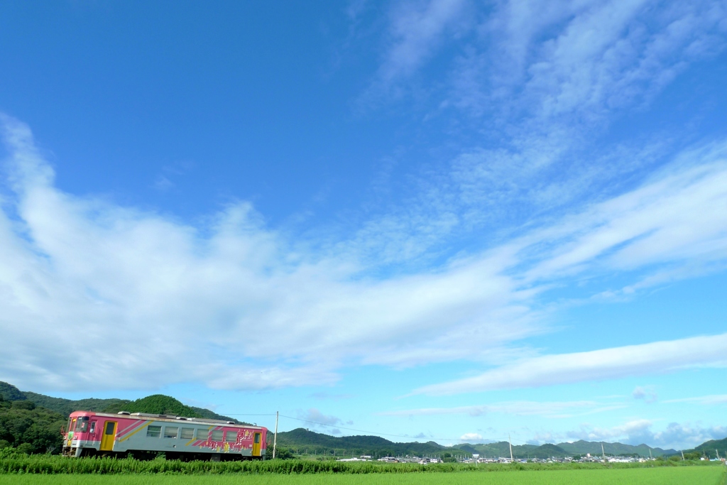 晴れました。