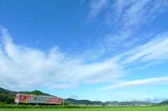 晴れました。