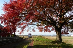 深紅の駅