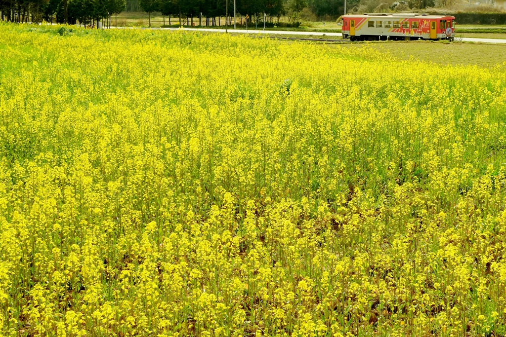 yellow road