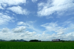 梅雨の晴れ間