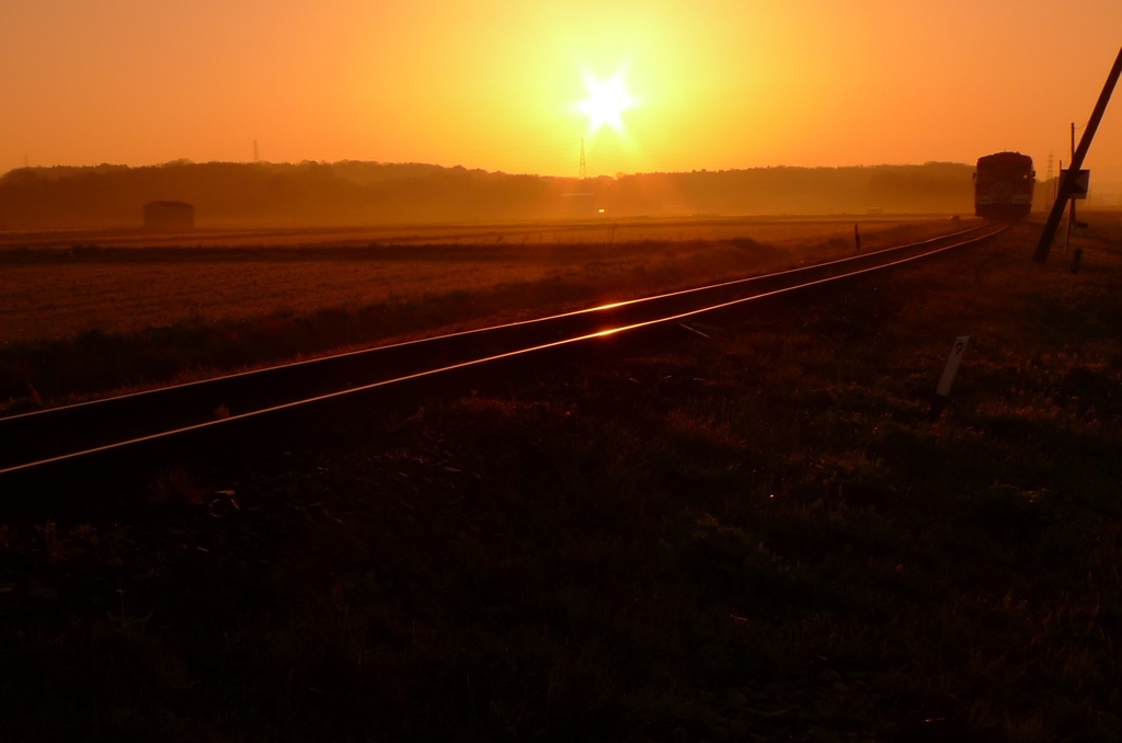 orange rail