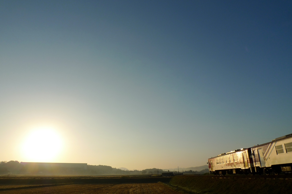 traIN ＋ traOUT