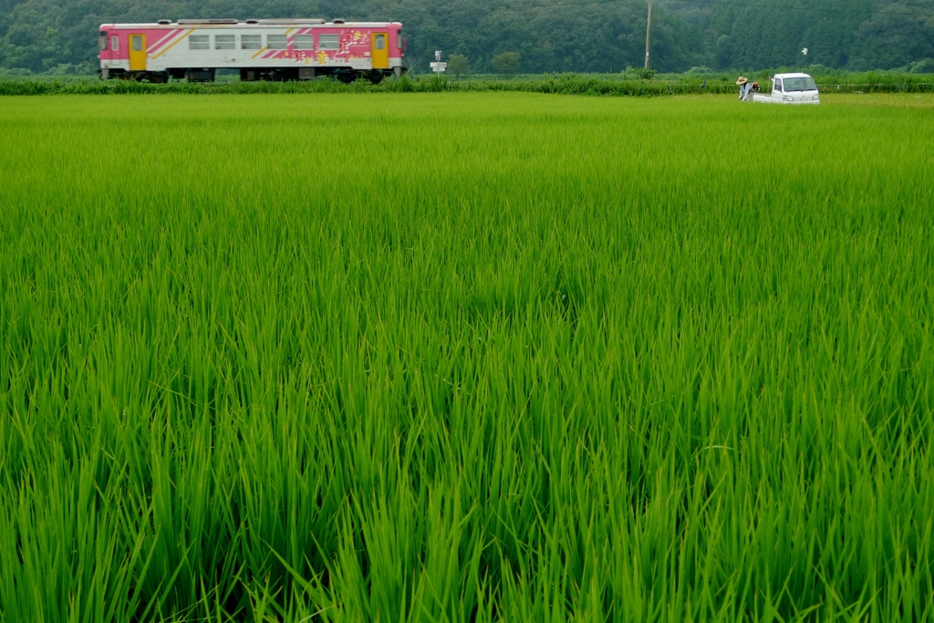 雨天決行