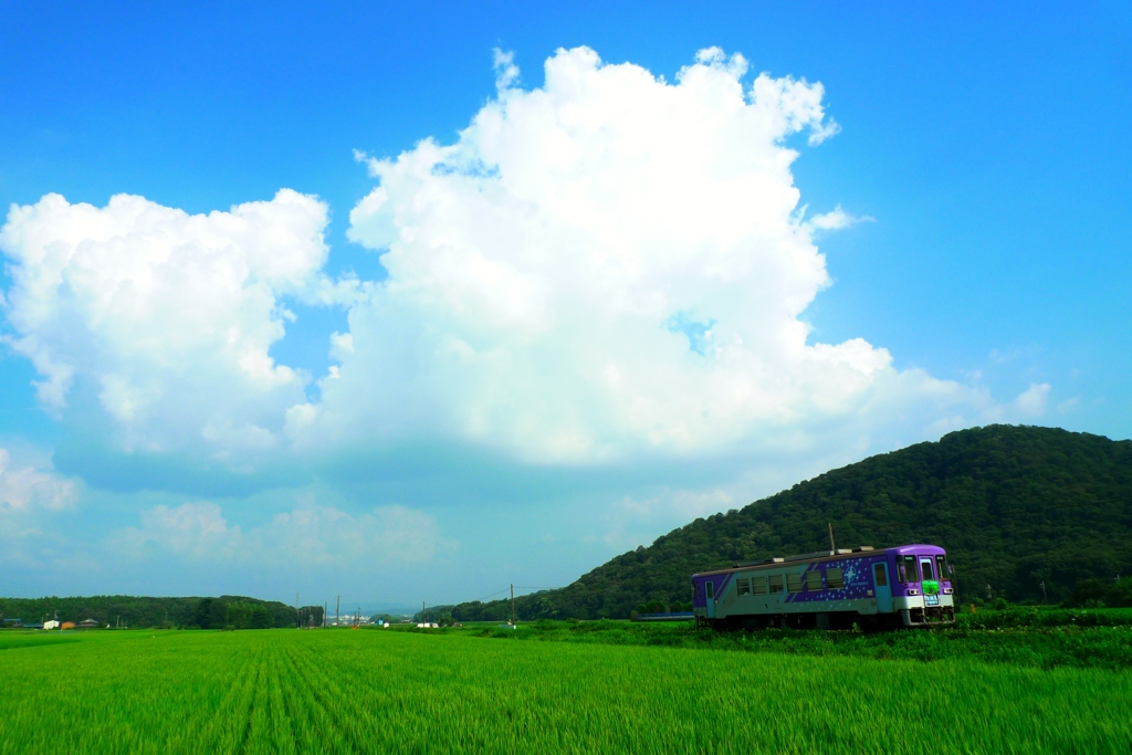 入道雲を追って