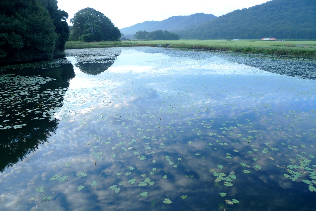 雲を映して