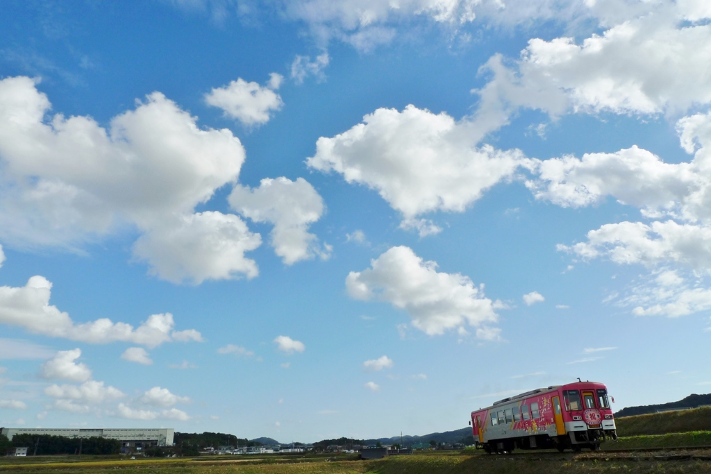 青い空　白い雲