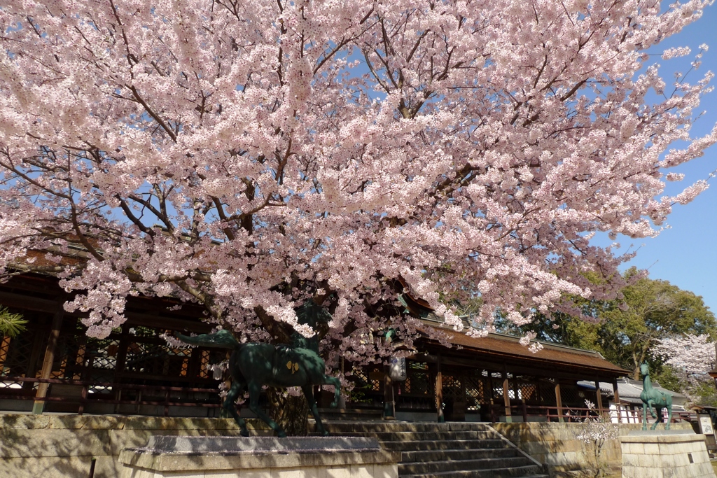 賀茂神社