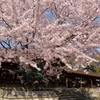 賀茂神社