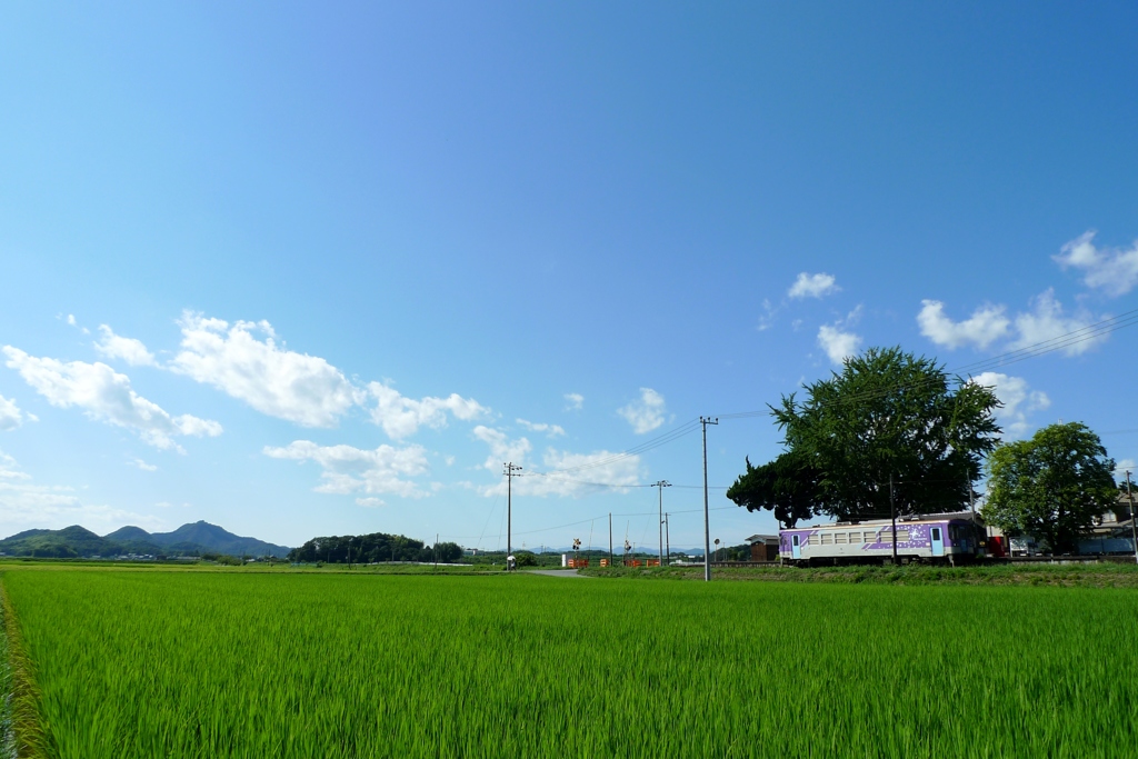 網引