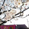 桜と北条鉄道