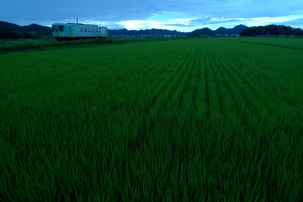 To RAIN
