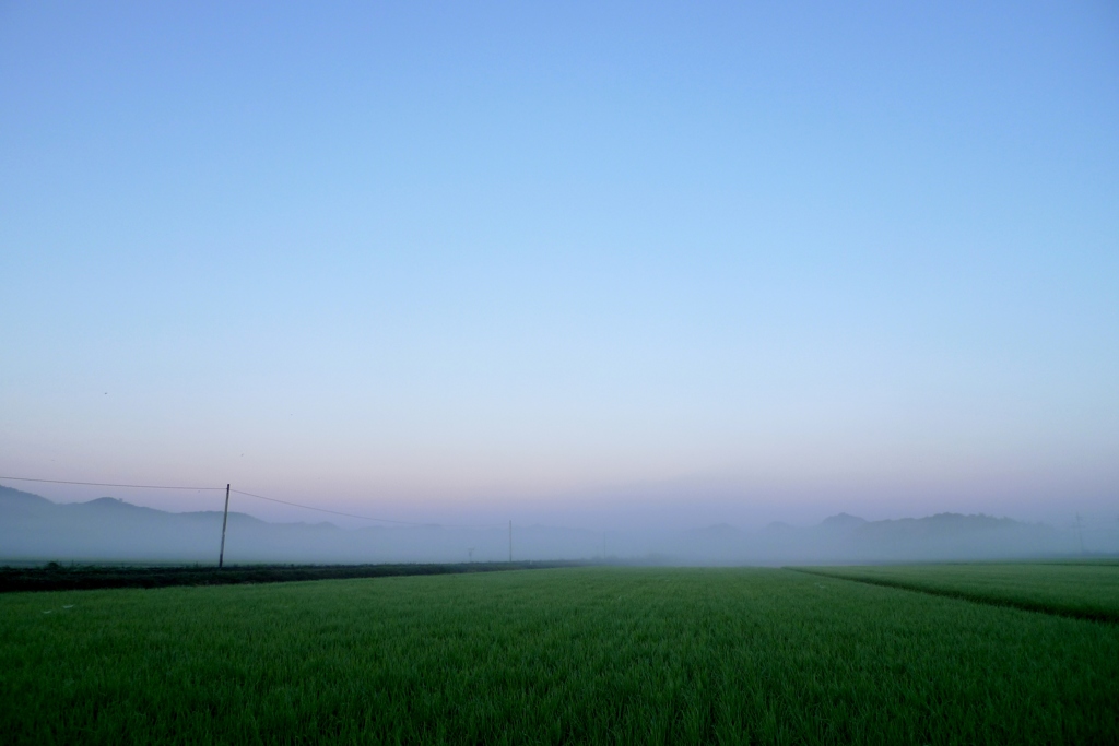 Pastel Color