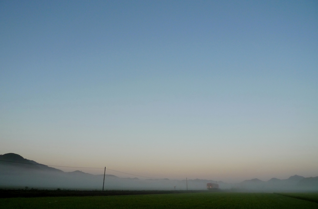朝霧の中から