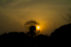 20160227-DSCF0185