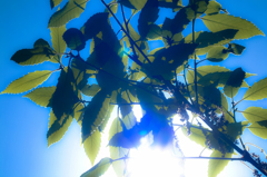 20160424-DSCF0045