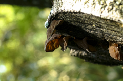 20160424-DSCF0044