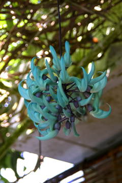 20160505-20160505-DSCF0263