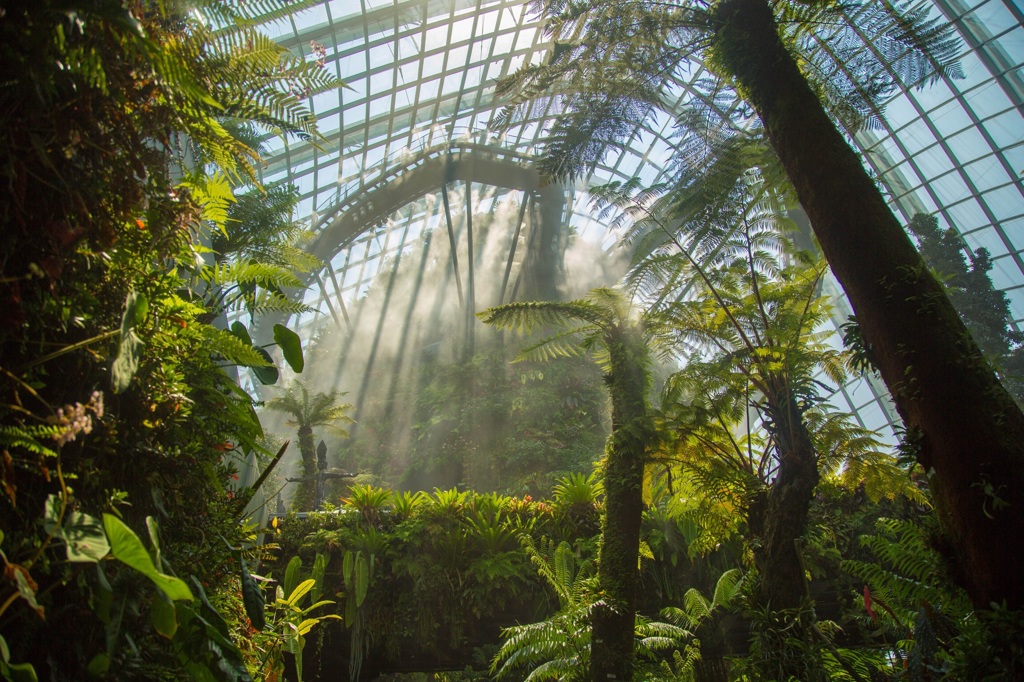 シンガポール・植物園