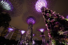 シンガポール 植物園