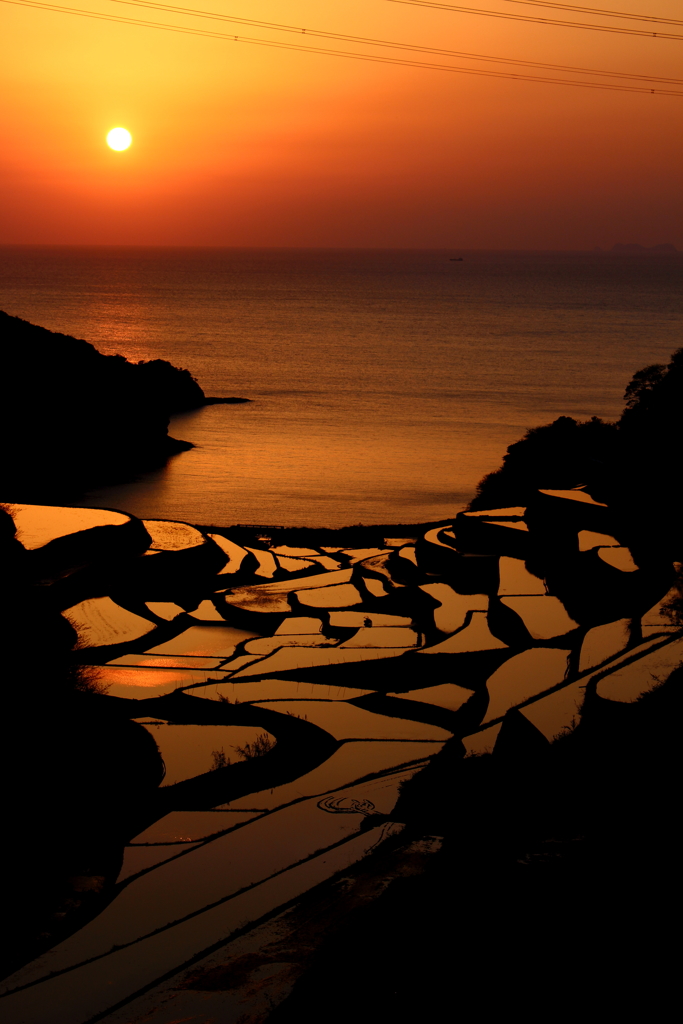 浜野浦の棚田