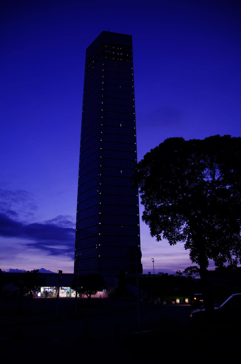 夕日が沈み