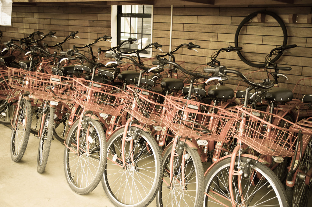 ちょっとサイクリング