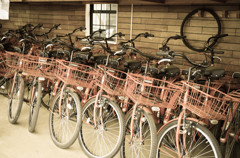 ちょっとサイクリング