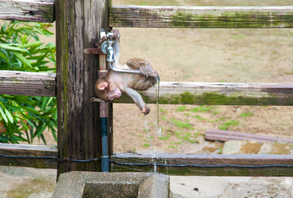 水道メーター上がるぞ！