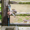 水道メーター上がるぞ！