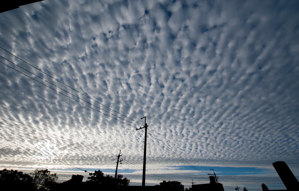 ある朝の秋雲