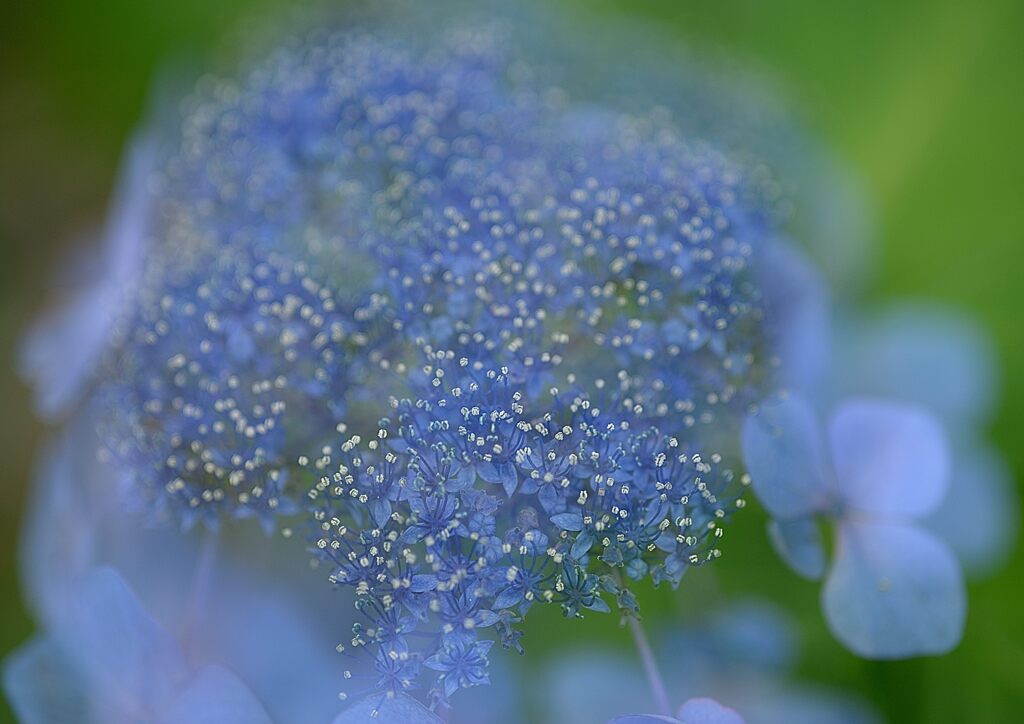 梅雨の晴れ間