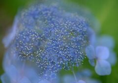 梅雨の晴れ間