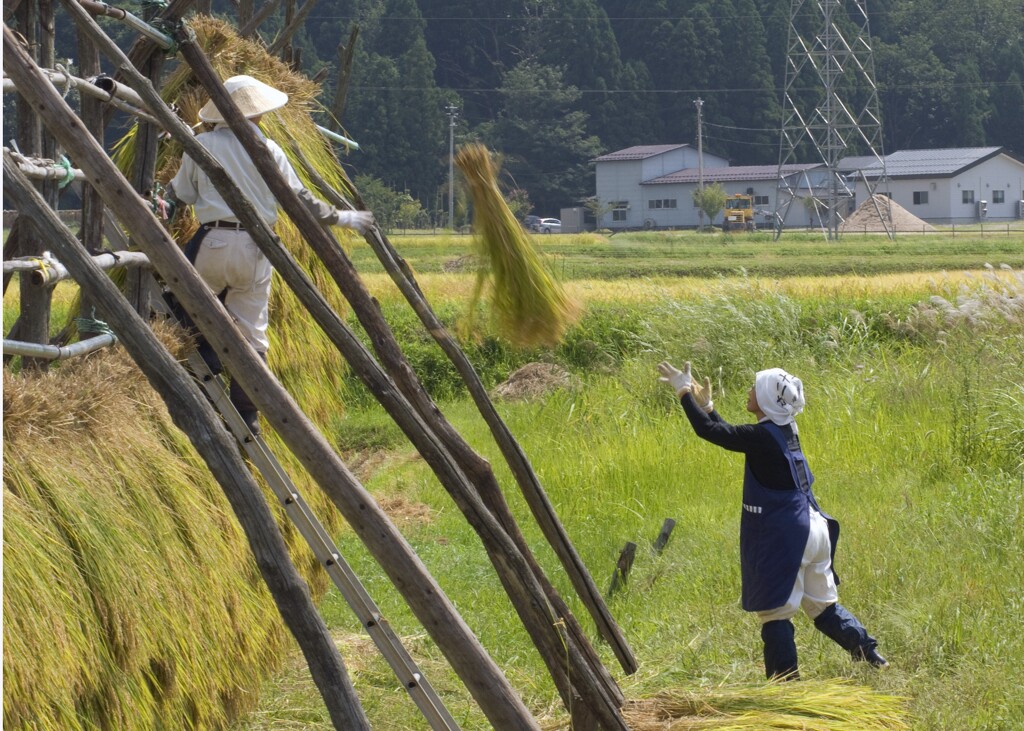 はさ掛け