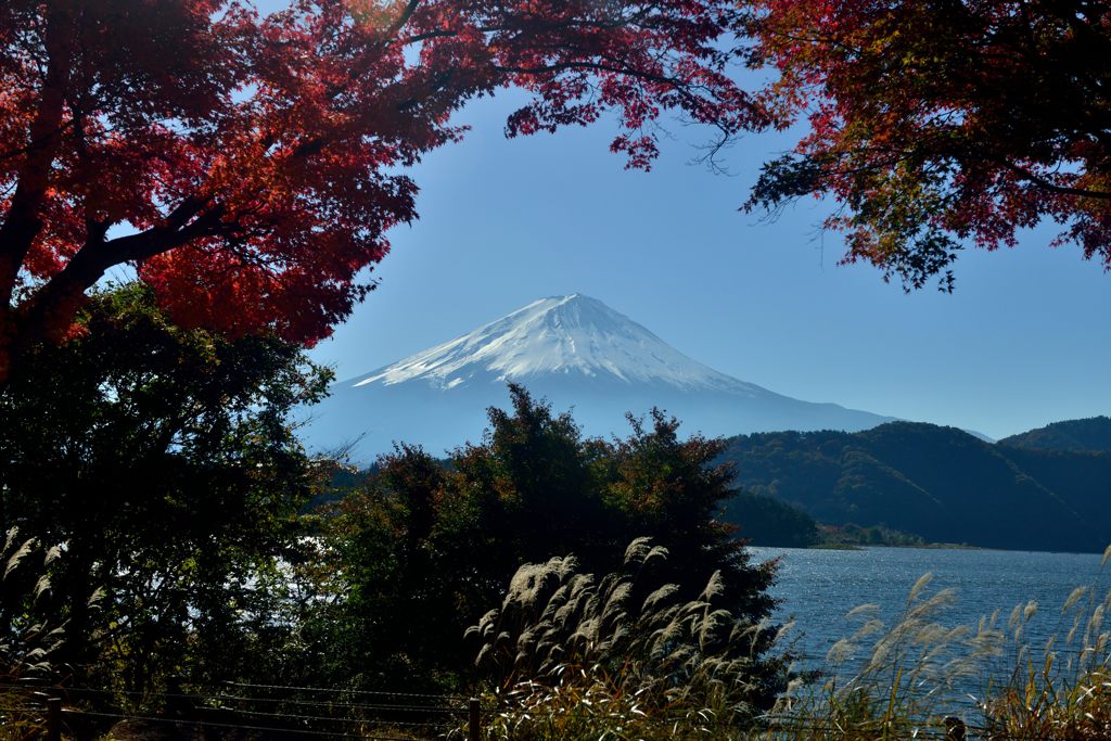 紅葉に富士山