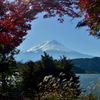 紅葉に富士山